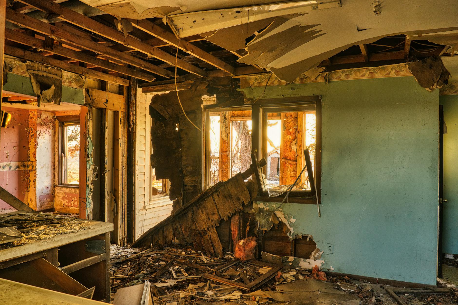 Mold Removal Mold Gallery FL 33919